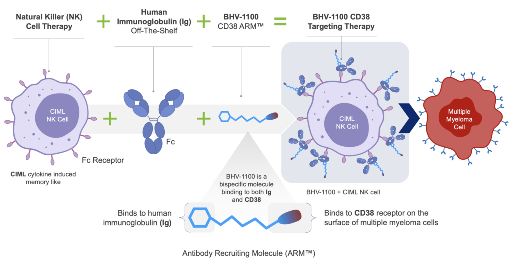 CD-38: ARM™ | Next Generation Bispecific Molecules