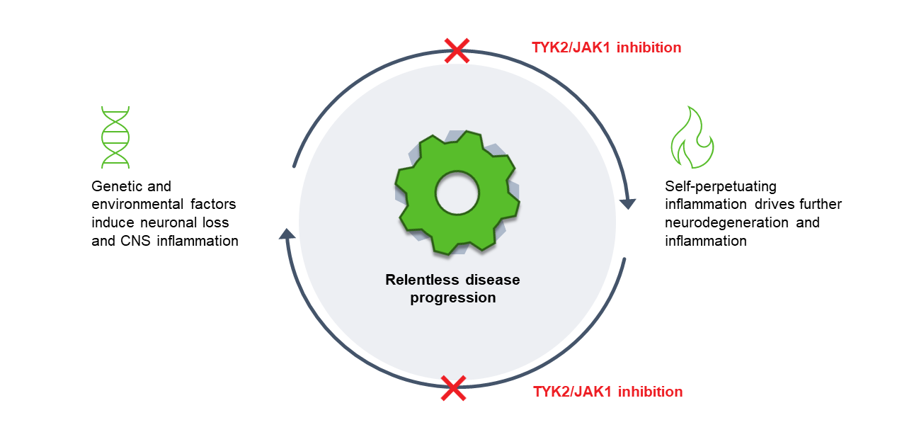 Central TYK2JAK1 Modulation Breaks Inexorable Neuroinflammatory-Neurodegenerative Cycle